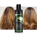 Tea Tree Oil Mint Repairing Sulfate Free Collagen Natural Curly Hair Dandruff Shampoo and Conditioner Set