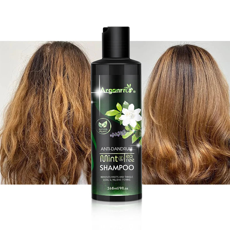 Tea Tree Oil Mint Repairing Sulfate Free Collagen Natural Curly Hair Dandruff Shampoo and Conditioner Set