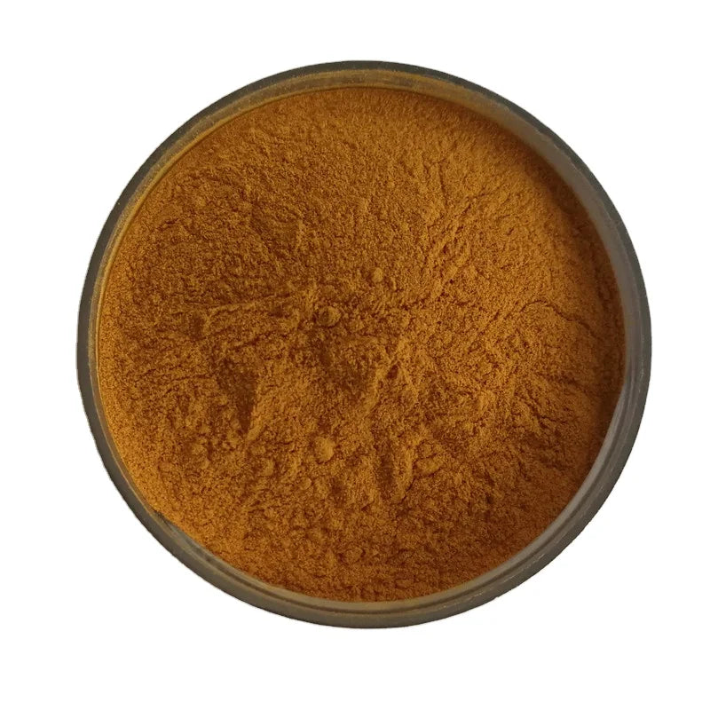 Manufacturing Brown Water Soluble Ceylon Cinnamon Powder Cassia Powder Ceylon Cinnamon Sri Lanka