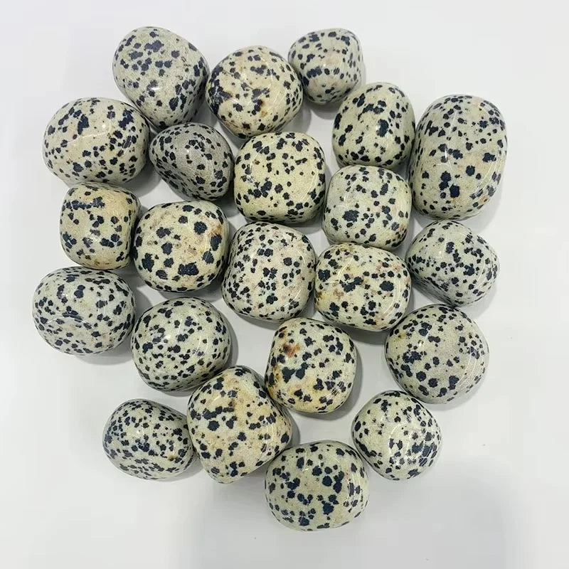 Wholesale 20-30mm Loose Gemstones Tumbled Gemstones Natural Dalmatian Jasper Tumbled Stones