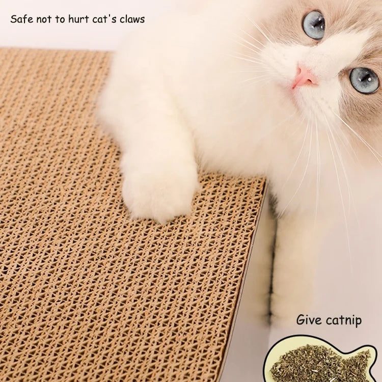 Wholesale Modern Eco-Friendly Cat Scratching Post with Recycled Corrugated Cardboard Luxury Design Carton Packing