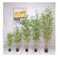 C Wholesale Artificial Plant Bamboo Bonsai for Garden Decoration Artificial Bamboo Tree for Home Decor