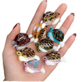 DOWELL Wholesale Ocean Series Acetate Turtle Hair Claw Clip Animal Side Clip BB Clip for Kids Hair Accessories