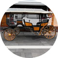 Horse Drawn Carriage High Quality Royal Prince Carriage Royal Horse Carriage Price