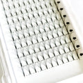 Wholesale High Quality 3D 6D 8D 10D Premade Lash Fans Eyelash Extension Long Stem Pointy  Base Premade Volume Fans