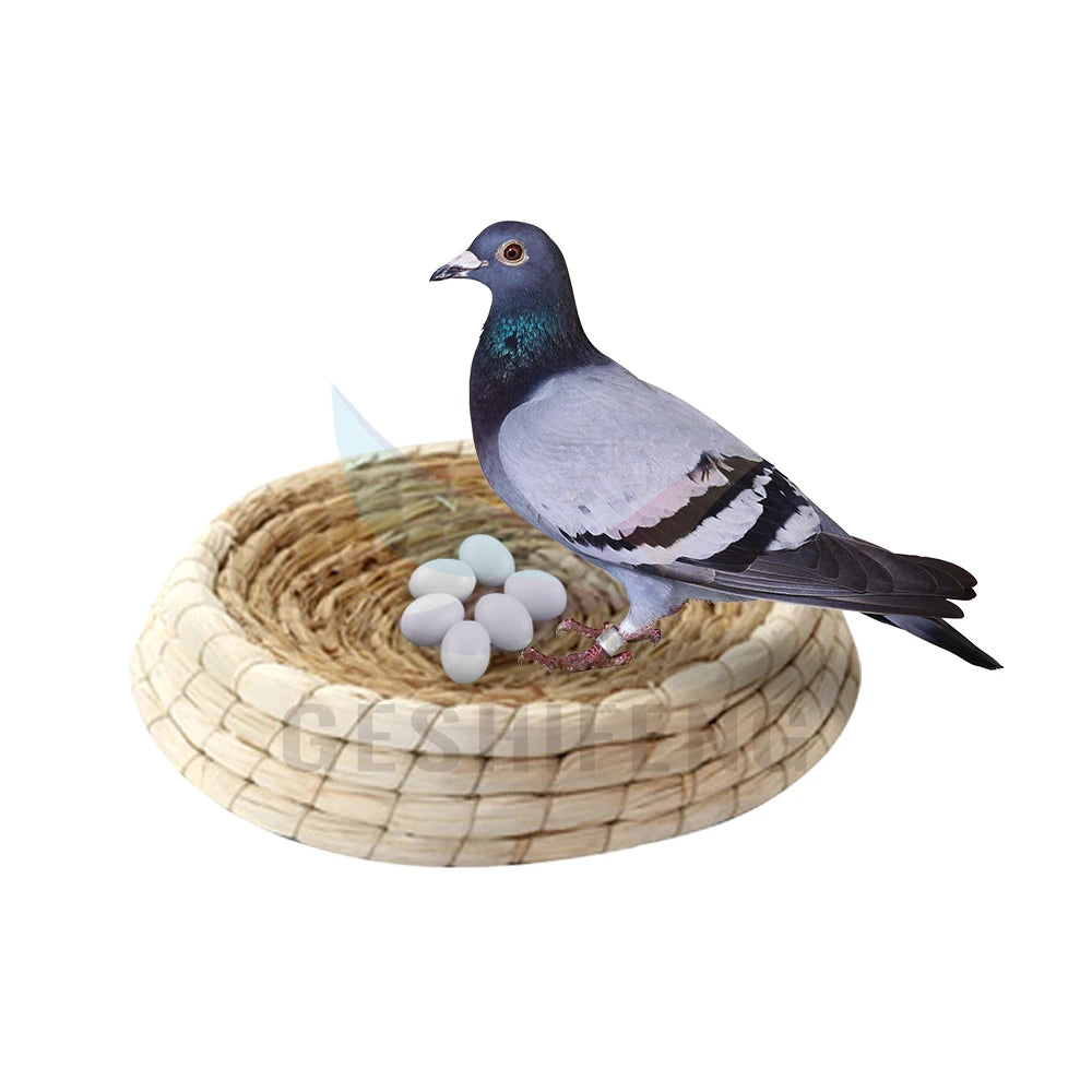 GSF Factory  G-600 Grass Nest Oem Hot Sale Brass Love Birds Nest Pigeon Laying Hatching Egg Breeding Nest Box