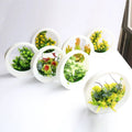 Wholesale Artificial Plants Artificial Bonsai Flowers Plastic Bonsai Mini Artificial Succulent Plants With Pots
