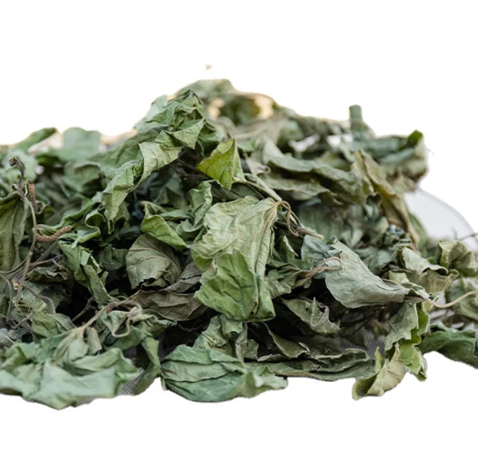 Raw 100% Pure Whole Betel Leaf Drying Tea Natural Dry Betel Leaf for Tea