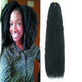 Afro Twist 22Inch 100g Kinky Marley Crochet Braiding Synthetic Hair Extension for Black Women