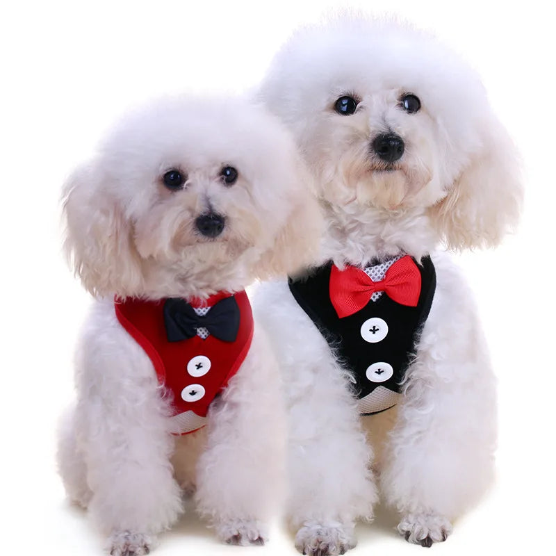 Wholesale Dog Accessoriesharness Vest Dog Harness Manufacture