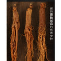 Hotsale Natural Cheap Price Ginseng China Red High Grade Loose Tea Health Tea Vacuum Pack