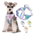 Durable No-Pull Colorful Dog Harness Vest Set Adjustable Padded Pet Harness for Small Medium and Large Breed Dogs