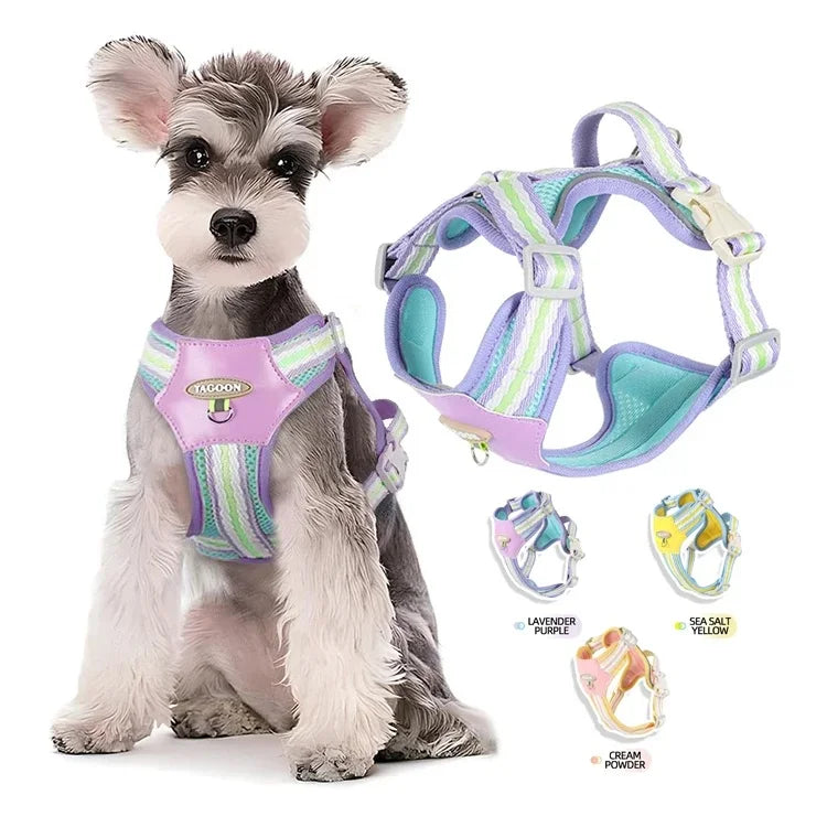 Durable No-Pull Colorful Dog Harness Vest Set Adjustable Padded Pet Harness for Small Medium and Large Breed Dogs
