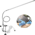 USB LED 8 W Clip Nail Desk Lamp Eye Care Flexible GooseNeck 360 Swivel Clamp Light for Manicure Reading