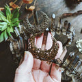 DIY Quick to Ship Colorful Green Moon Wicca Wizard Crown Hairband Gray Hairband Crystal Comb Brides Hair Combs