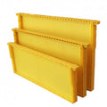 New Design Seamless PP Plastic Bee Frames with Comb Foundation 483x232mm Multi-color
