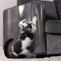 Furniture Sofa Transparent Protective Film Pet Cat Scratch-proof Stickers Deterrent Sheet Double-sided Tape