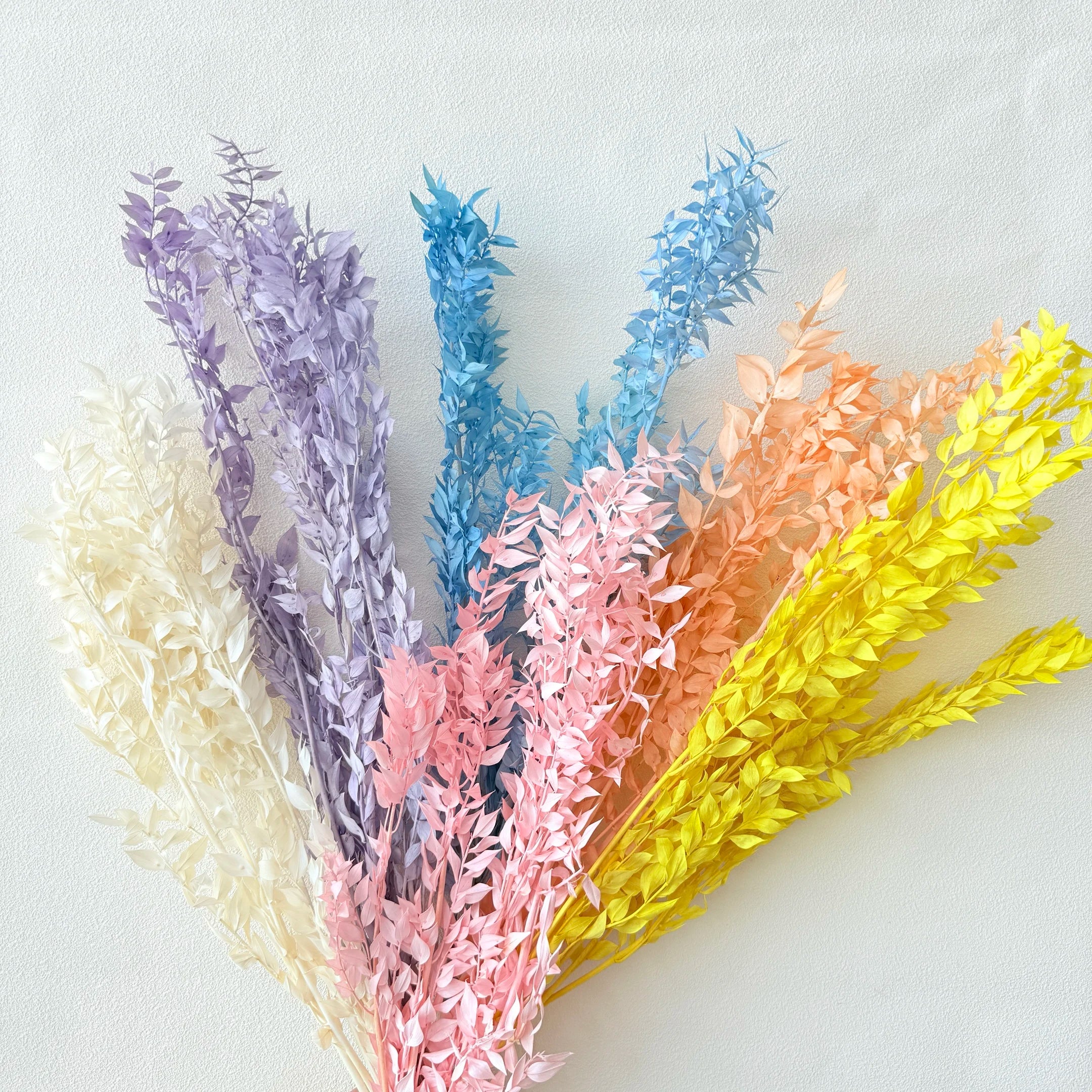 Preserved Ruscus Factory Wholesale DIY Material For Christmas Gift