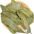 Wholesale Shiral Pure Raw Dried Microcos Paniculata Leaves Natural Microctis Folium for Herb