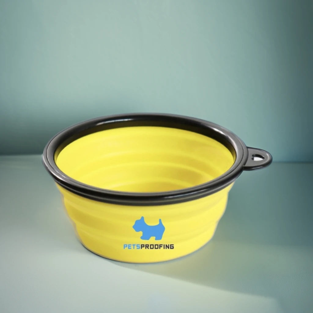 Custom Logo Portable Silicone Foldable Pet Bowl Feeder for Travel Small Size PP Food and Water Dish for Dogs and Cats