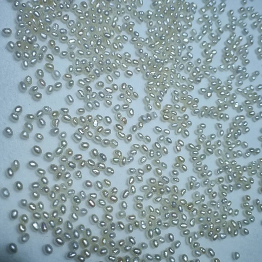 Wholesale 2mm Mini Rice Freshwater Loose Pearls in Bulk Price No Hole Drilled MegaBDM