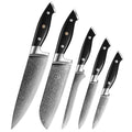 Professional 5 Piece Kitchen Knife Set Micarta Handle 67 Layer Damascus Steel Carbon Steel Chef Santoku Boning Utility Paring
