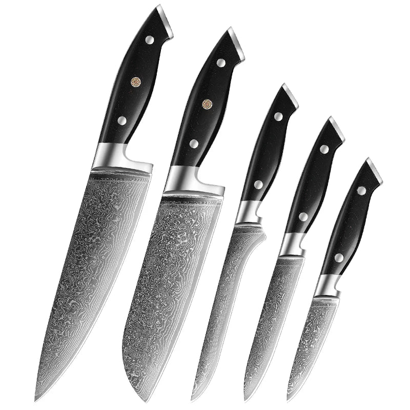 Professional 5 Piece Kitchen Knife Set Micarta Handle 67 Layer Damascus Steel Carbon Steel Chef Santoku Boning Utility Paring