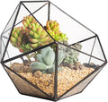 Wholesale Mini Glass Geometric Terrarium Container Gold Terrarium Set Glass Flower Pot Planter Vase Bowl Display Box Decor
