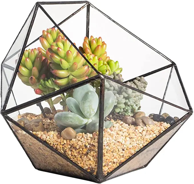 Wholesale Mini Glass Geometric Terrarium Container Gold Terrarium Set Glass Flower Pot Planter Vase Bowl Display Box Decor