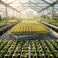 3x3x4cm Agricultural Growing Media Hydroponic Rock Mineral Wool Cubes