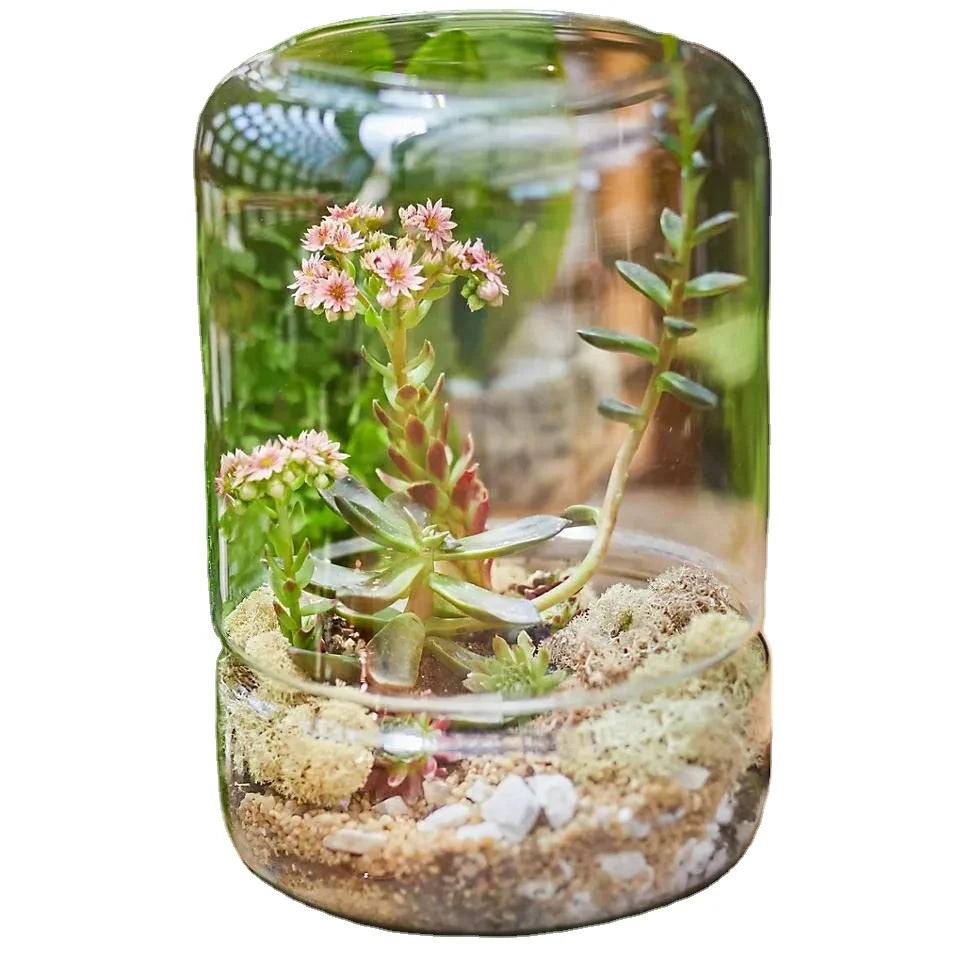 Custom Made Hand-blown Clear Glass DIY Terrarium Kit