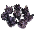 Decoration Gemstone Healing Crystal Natural Wholesale Ghost Cluster Green Quartz Cluster Amethyst Phantom Crystal Cluster