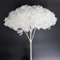 Hot Selling Real Touch Preserved Flower Dried Flower Colorful Wedding & Valentine's Day Christmas Home Decoration Items