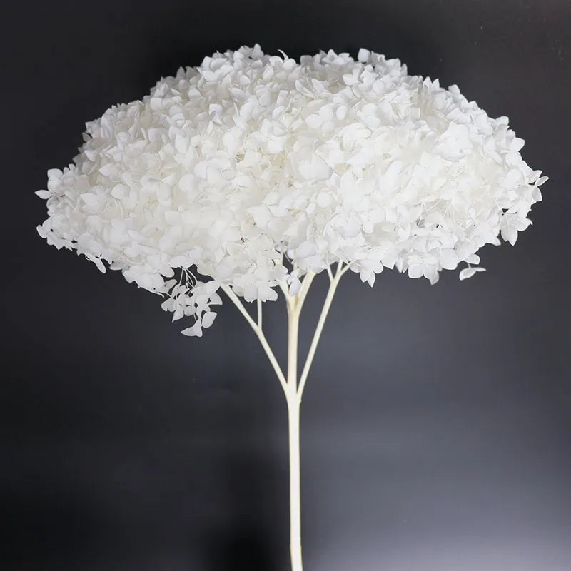 Hot Selling Real Touch Preserved Flower Dried Flower Colorful Wedding & Valentine's Day Christmas Home Decoration Items
