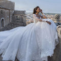 S0696Y 2024 Wedding Bride New Big Drag Tail Retro Sexy Tulle Bridal Wedding Dress