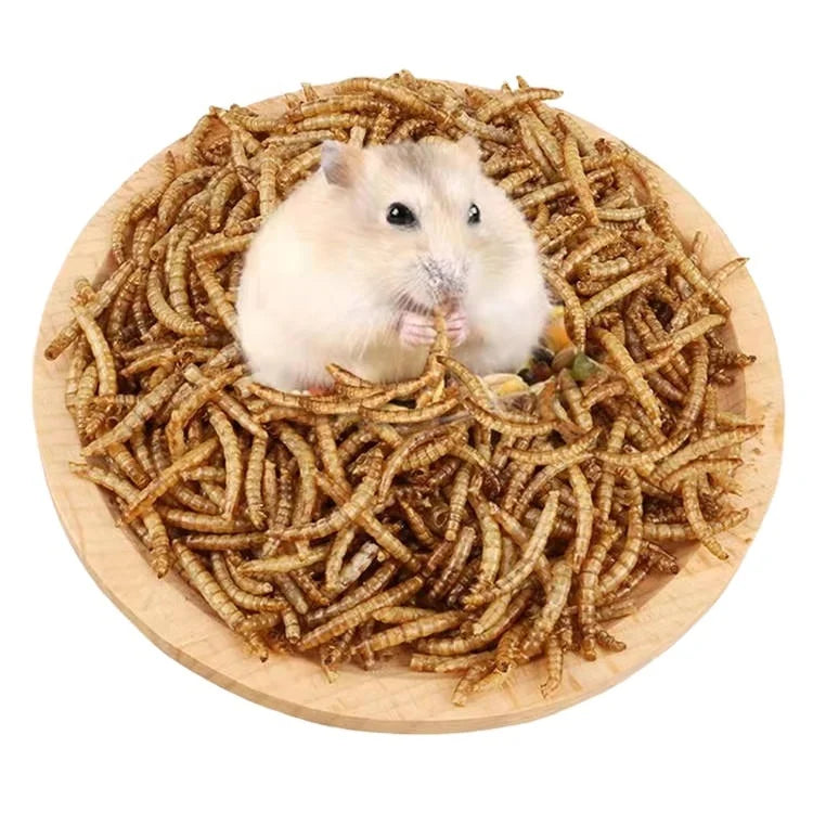 Hot-selling Wholesale Dried Mealworm Larvae Customizable Packaging Available.