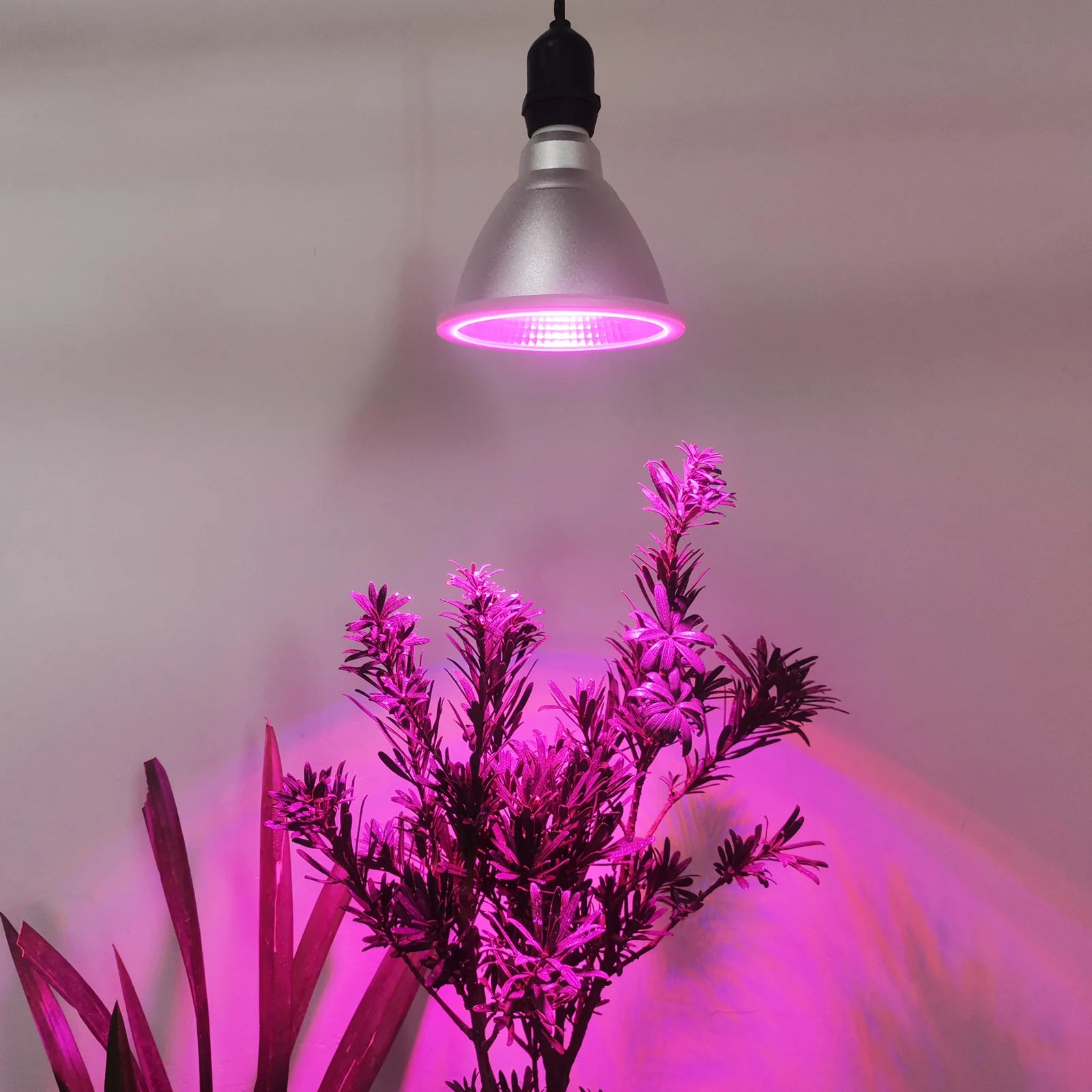 Liweida Par38 Aluminum 12/220 Volt LED Grow Light Red Blue Waterproof Bloom Customizable Spectrum IP65 Bulb