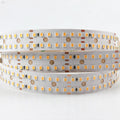 Cool White 6000K SMD 2835 DC 24V Two Lines 20mm Width Double Side PCB LED Flexible Strip Light