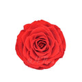 Wedding Festive Decorative Flowers 9-10 cm Forever Elegant Natural Single Color Preserved Rose Head With Box for Valentine Day
