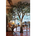 Custom 10Ft High Artificial Olive Tree Made From Fiberglass  With Plastic  Branch Material Olive Tree for Garden Decoration