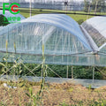 Agricultural Greenhouse Plastic Mushroom Greenhouse Tunnel Film Grow Equipment for Sale