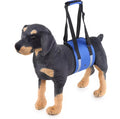 USMILEPET Adjustable Dog Sling Solid Pattern Rehab Harness for Seniors & Injured Pets Post ACL Surgery Supports Weak Rear Legs