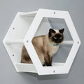 For Hot Selling Eco-Friendly Cat Jungle Wall Hammock Solid Pattern Wooden Fixed Board Mounted Platform Removable Washable