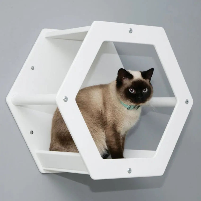 For Hot Selling Eco-Friendly Cat Jungle Wall Hammock Solid Pattern Wooden Fixed Board Mounted Platform Removable Washable
