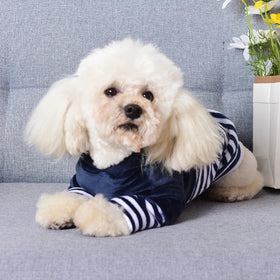 Wholesale Luxury Dog Clothes Simple Eco-Friendly Taffeta Modern Pet Jacket Solid Pattern Fall Hoodie for Small Dogs
