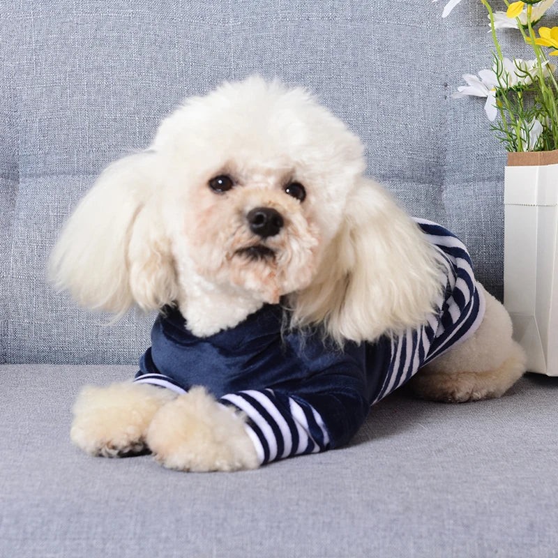 Wholesale Luxury Dog Clothes Simple Eco-Friendly Taffeta Modern Pet Jacket Solid Pattern Fall Hoodie for Small Dogs