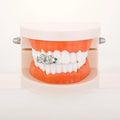New 14K Gold Teeth Grills Hip Hop Style Snake-Brass Jewelry Braces for Engagement Party Wedding or Anniversary