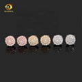 Ready to Ship Pass Diamond Tester 925 Silver Hip Hop Screw Back Iced Out Moissanite Earrings