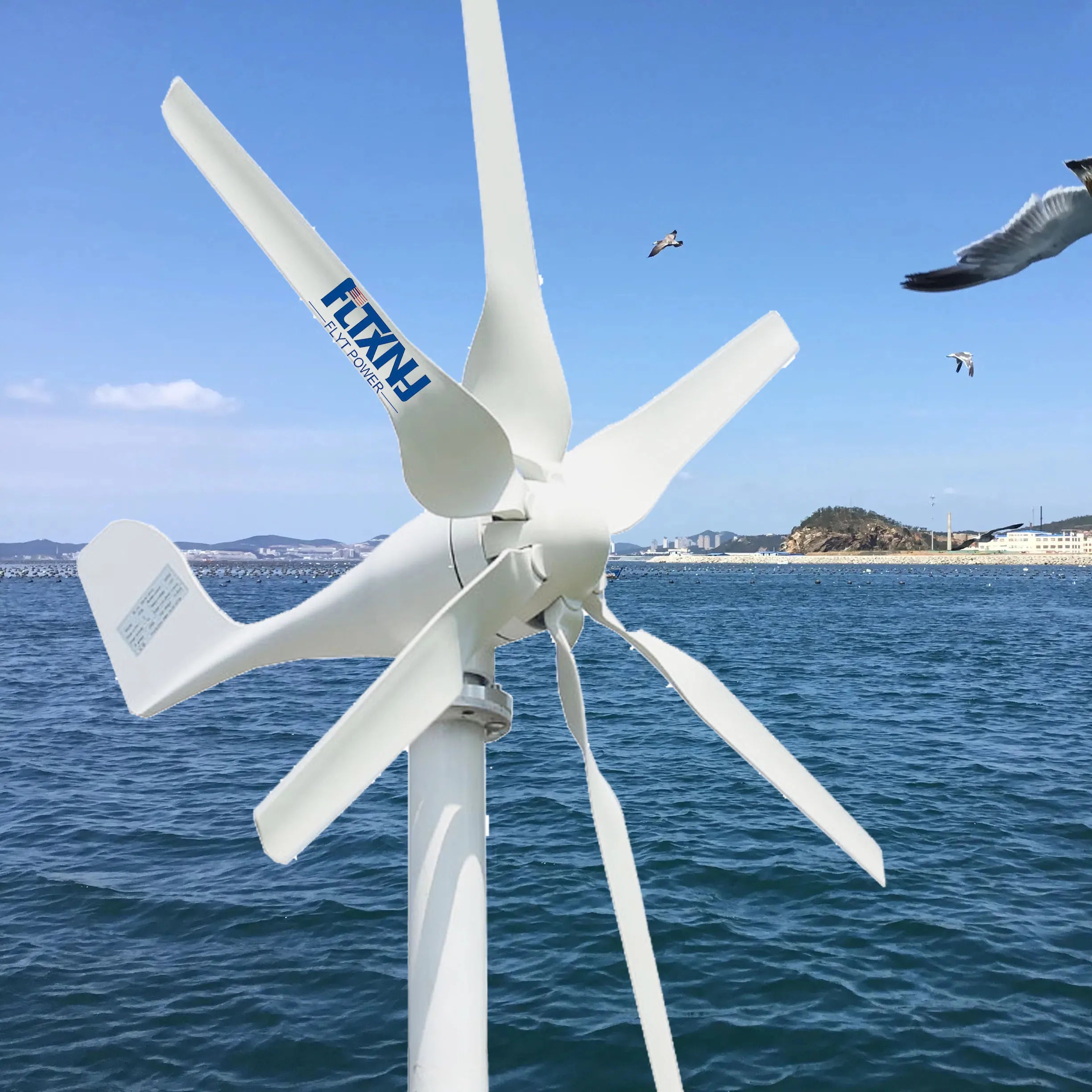 Home Use 800w 1000W 1200w Permanent Magnet Generator Small Wind Turbine 12V 24V 48V Free Energy System