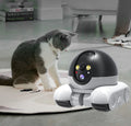 4G Wifi Pet Companion Robot Toy With Camera Cat Dog Smart Toy Pet Camera